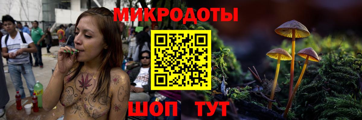 Псилоцибиновые грибы Psilocybine cubensis Пушкино